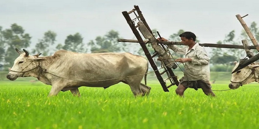 सिंधुदुर्गातील विमाभरपाईबाबत शासन सकारात्मक
